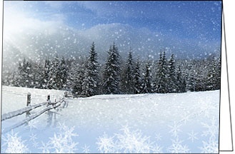 Weihnachtskarte, Winter Eisblumen, A5 quer