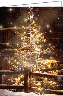 Weihnachtskarte, heimeliger Weihnachtsbaum, A5