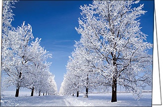 Weihnachtskarte, Strasse durch Winterlandschaft A5