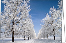 Weihnachtskarten Strasse durch Winterlandschaft A6